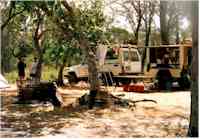 Bush camp near mouth of Jardine River