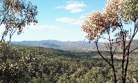 View from Drummond Range lookout