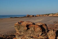 Rock formations at Broome port, low tide