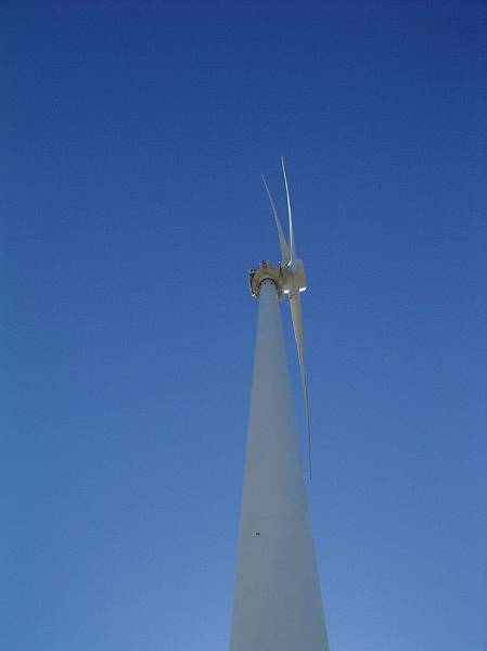 imgp4226.jpg - Wind turbines at Denham
