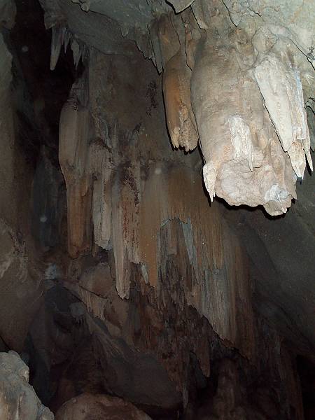 dcp_1280.jpg - Cutta Cutta caves