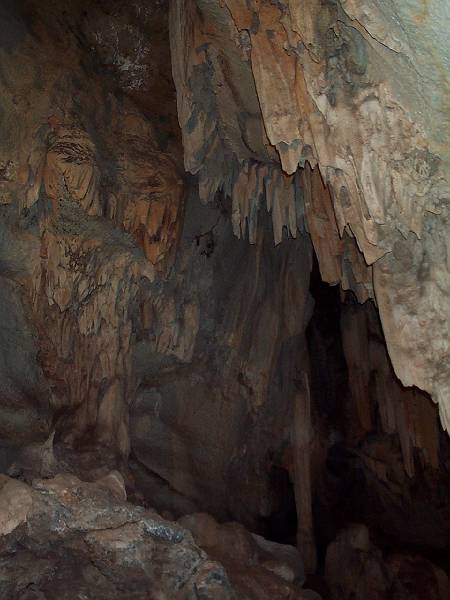dcp_1281.jpg - Cutta Cutta caves