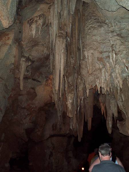 dcp_1282.jpg - Cutta Cutta caves
