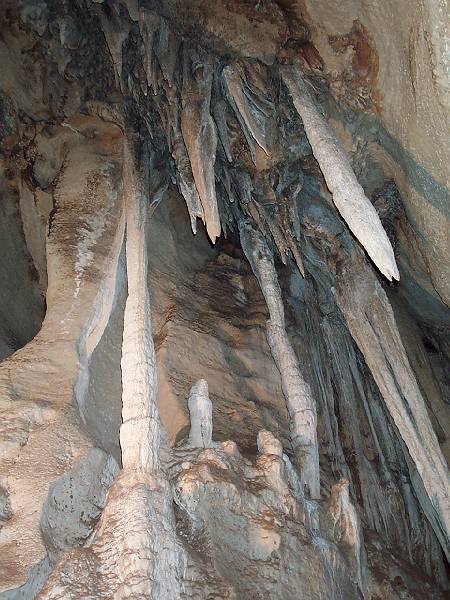 dcp_1284.jpg - Cutta Cutta caves