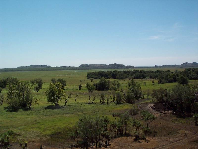 dcp_1328.jpg - View from Ubirr, Kakadu NP